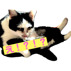 Saori_20190127030839