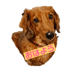 rikuriku2019