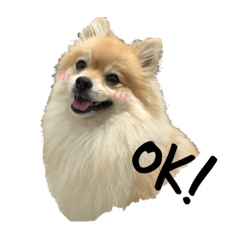 ponnsuke