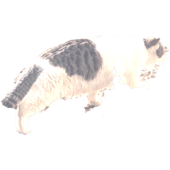G_20190127014322