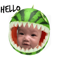 菥公主的日常