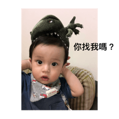 弦哥的日常生活