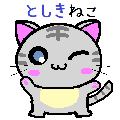 Toshiki cat