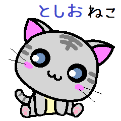 Toshio cat