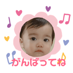 midori_20190126231206