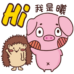 Coco Pig 2-Name stickers -Si