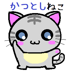 Katsutoshio cat
