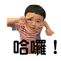 汪毛毛的日常