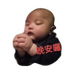 糰糰之家