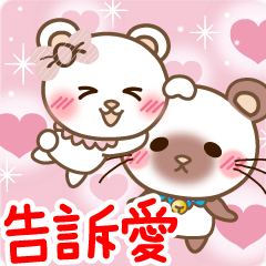 Panda cat, Pan'nya telling love china2