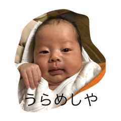 nobo_20190127162904