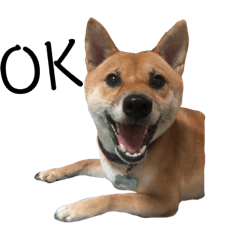 嚕太妹