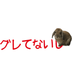 グレポテ 可愛いうさぎのポテ Line スタンプ Line Store グレポテ 可愛いうさぎのポテ Line スタンプ Line Store