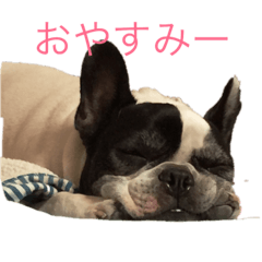 CHIHIRO_20190127222859
