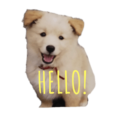 ayumi_20190127215931