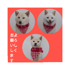 rie_20190128110103