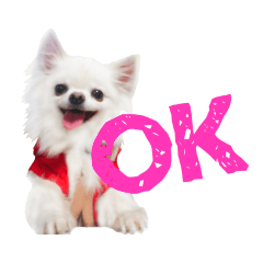 saori_20190127151248