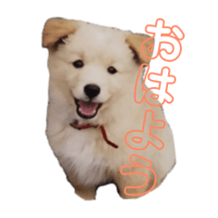 ayumi_20190128132732