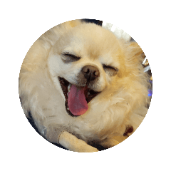 Asako_20190127183359