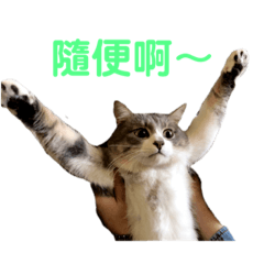 可愛又可怕ㄉ