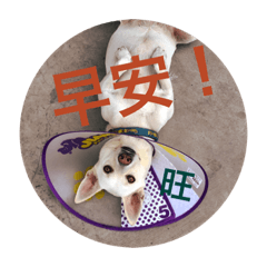 五豆之耍廢人生
