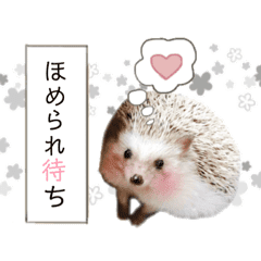 ハリネズミさんズ 1 Line スタンプ Line Store ハリネズミさんズ 1 Line スタンプ Line Store