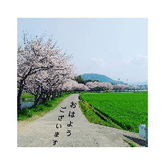 pafu_20190128220222