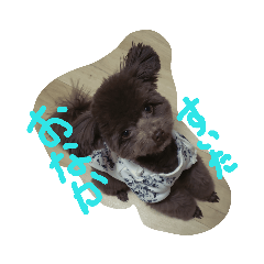 moco_20190128222347