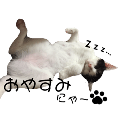 manmaru_20190126154922