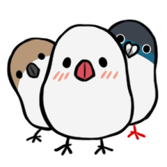 Cute birdie friends