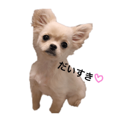 yurina_20190128201640