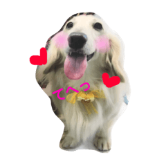 rinrin_20190127212314