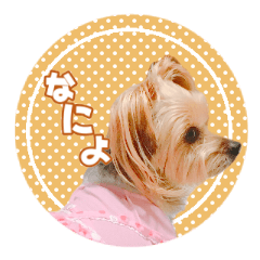 RIKI-RUKU's Sticker