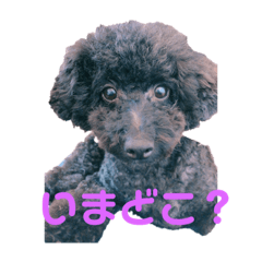 ayano_20190123152927