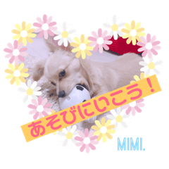 mimi_20190129042435