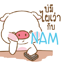 NAM moouan_E e