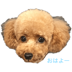 megumi_20190129072701