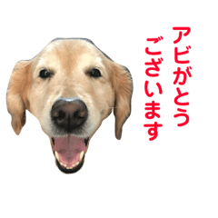 abby_20190128201030