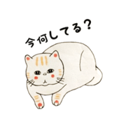 princeki_20190129170604