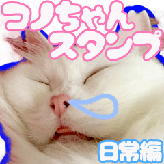 White cat KONO Sticker