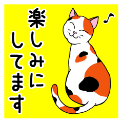 Sticker for catlovers 1