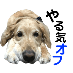 abby_20190130000248