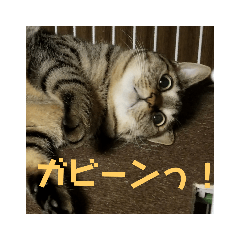 Joyce_20190129145521