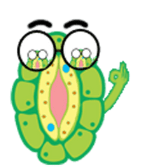 New Animated Stomata Line Stickers Line Store