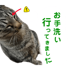 hona_20190130015041
