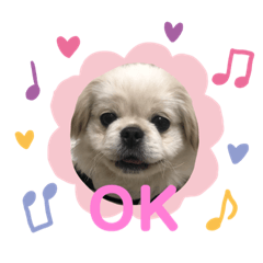 Pumacho_20190129155823-2