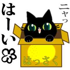 黒猫ちゃん8 ニャーニャー動くスタンプ Line スタンプ Line Store