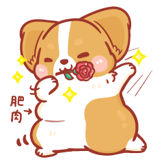 Corgi Dog KaKa - KaKa in Love