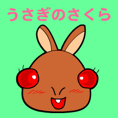 The rabbit named Sakura.