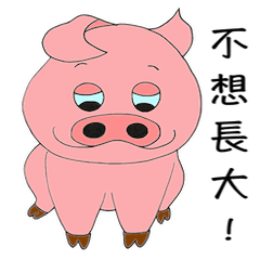 Hsiu Chun's Adorable Pig